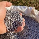 Economia dos EUA deve crescer mais em 2026, mas inflação e juros seguirão pressionados