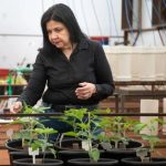 Grupo Acústico da Igreja Presbiteriana Independente de Rondonópolis se apresenta na Aldeia Rondon