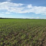 Apex firma R$ 42 milhões em convênios e vai qualificar 150 empresas exportadoras