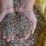 Bolsas mundiais reagem à possível redução de juros nos EUA, e Ibovespa abre em alta