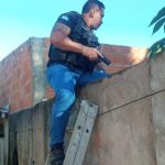 Abiove prevê que em 2026 seguirá líder global com produção de 177,7 milhões de toneladas