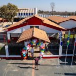 Exportações de ovos do Brasil crescem 40% em outubro: R$ 31,9 milhões