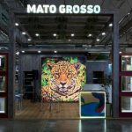 Alunos do Projeto de Jiu-Jitsu da Rotam conquistam 11 medalhas em campeonato internacional