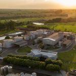 Governo libera R$ 190 milhões para abastecer produtores com milho