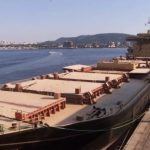 Demanda firme, oferta pequena e exportações animam produtores