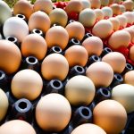 Gestão inteligente de máquinas agrícolas pode reduzir custos em até 30% e aumentar a eficiência no campo