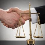 Goiás reforça liderança na avicultura e amplia exportações de carne de frango para os Emirados Árabes