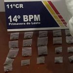 Santa Catarina lança programa de apoio para adequação de granjas suinícolas às novas regras de biosseguridade