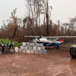Bem-estar animal avança na suinocultura, mas uso de antibióticos ainda preocupa especialistas