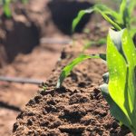 Rotam prende homem em flagrante com revólver sem registro em Cuiabá