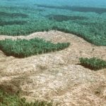 Polícia Militar prende suspeita envolvida em sequestro em Várzea Grande