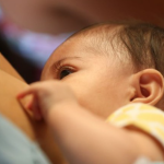 Polícia Civil de MT ministra capacitação de Operações Rurais para servidores federais e de MS