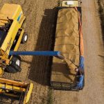 Polícia Civil cumpre cinco mandados contra casal faccionado envolvido em crimes no Norte de MT