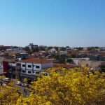 Tilápia impulsiona 600 mil empregos e já representa 68% da produção aquícola no Brasil