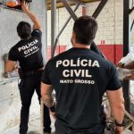 Volatilidade do boi gordo cai pela metade em 2025 e mercado alcança maior estabilidade, aponta Cepea