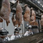 Capacitação tática reforça atuação dos agentes da Guarda Civil Municipal de Colíder