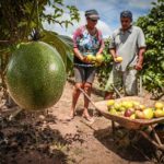 BC se reúne hoje e deve manter juros altos e crédito apertado para o agro