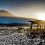 Esmagamento de soja em Mato Grosso cresce em outubro e impulsiona margens da indústria, aponta IMEA