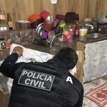 UE adia a lei antidesmatamento por mais um ano e dá fôlego aos exportadores