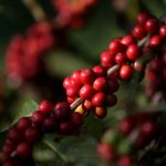 Roubo de cargas avança para o Norte e Nordeste e muda rotas da criminalidade no Brasil