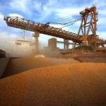 Exportações de milho do Paraná disparam 179% e superam queda nas vendas de soja