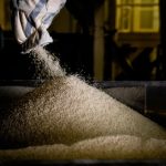 Mercado de trigo no Brasil segue com pouca liquidez diante de pressão externa e incertezas internas