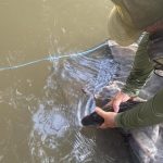 Estudantes da rede estadual apresentam projetos na VI Mostra Científica STEAM 2025