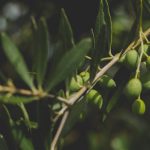 FPA consolida força no Congresso e derruba vetos ao novo Licenciamento Ambiental