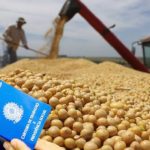 Lideranças do agro buscam equilíbrio entre inovação, metas e financiamento na COP 30