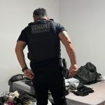 Controle da cigarrinha-das-raízes se torna prioridade para preservar produtividade e rentabilidade da cana-de-açúcar