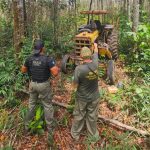 Polícia Civil e Ibama intensificam combate ao desmatamento ilegal em Comodoro
