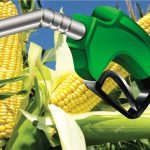 Câmara convoca Lewandowski para explicar omissão da Força Nacional em invasões de terras rurais