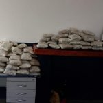 Seaf inicia entrega dos cartões da Fundaaf – Inclusão Rural para municípios do interior nesta terça-feira (18)