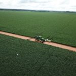 Networking Gera R$ 7 Milhões em Negócios: BNI Rondon Celebra Primeiro Ano de Sucesso e Impacto na Economia Local