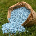 Custos de produção caem no frango e sobem no suíno em outubro, aponta Embrapa