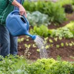 Tecnologia e inovação marcam Dia de Campo da East-West Seed em Bragança Paulista