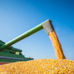 Abertura de novos mercados pode acrescentar R$ 200 bi às exportações do agro em cinco anos