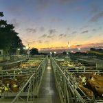 Polícia Civil e Conselho Tutelar socorrem criança perdida e localizam família