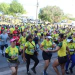 Sema promove capacitação para descentralização da gestão ambiental nos municípios