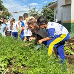 Rondonópolis celebra Dia da Consciência Negra com a Feira Criativa Batuquê no Casário
