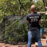 Polícia Civil incinera 2,3 toneladas de entorpecentes em Rondonópolis