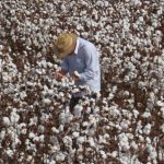 Autor de homicídio de mototaxista no Maranhão é preso pela Polícia Civil em Sorriso