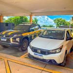 Pesquisa revela como o milho “se comunica” com a lagarta-do-cartucho e aponta solução sustentável para pequenos produtores