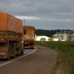 Santa Gertrudis ganha força no cruzamento industrial com desempenho de 20 arrobas aos 15 meses