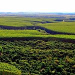 Nota Oficial: 6º caso confirmado de Sarampo em Primavera do Leste