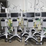 Corpo de Bombeiros captura animais silvestres em Poconé e Alto Garças