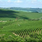 Agrotec Porto Velho 2025 aposta no agro para impulsionar economia local