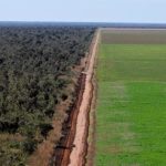 Tecnologias de aplicação e uso de adjuvantes impulsionam eficiência e sustentabilidade no campo