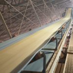 Jalles Machado encerra safra 2025/26 com aumento de área, mas queda na moagem de cana-de-açúcar