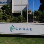 Vazio sanitário: veja como está a situação em cada estado